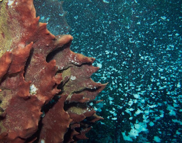 Foto prossimo piano dell'acqua