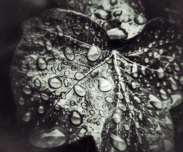 Foto prossimo piano dell'acqua