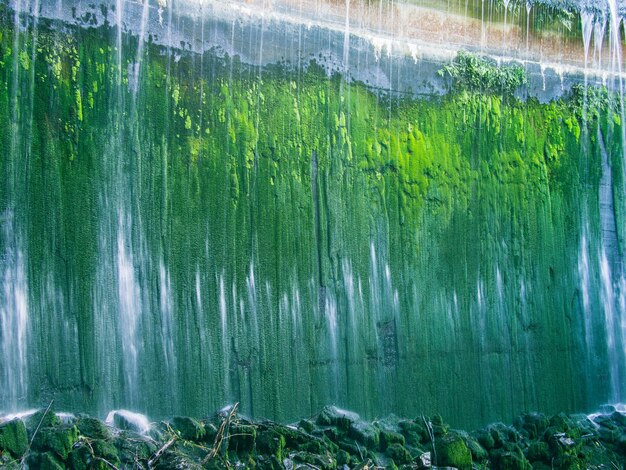 Photo close-up of water