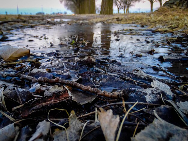 Foto prossimo piano dell'acqua