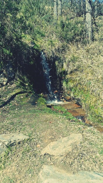 Foto prossimo piano dell'acqua