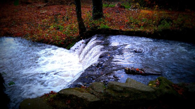 Close-up of water