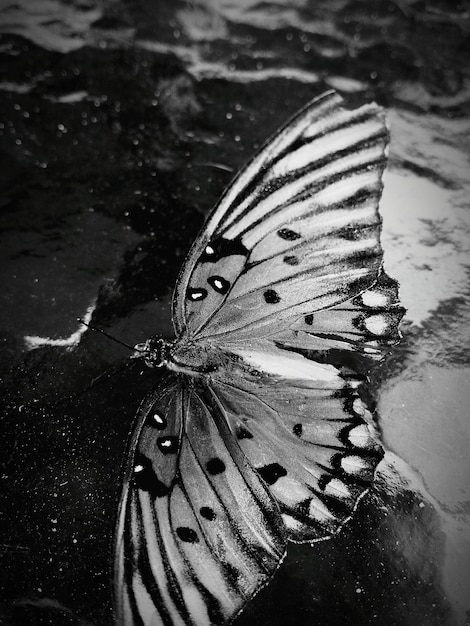 Foto un primo piano dell'acqua.