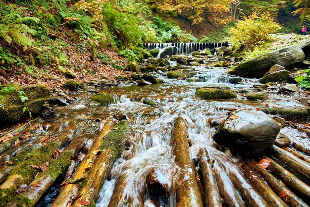 Photo close-up of waterfall in forest