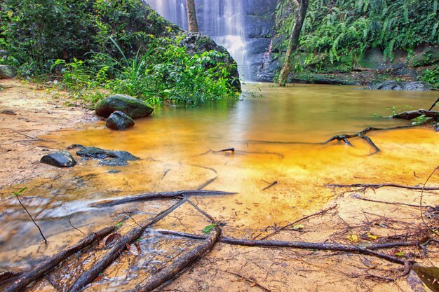 Close-up waterfall landscrape select focus