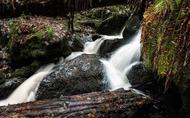 close-up of waterfall