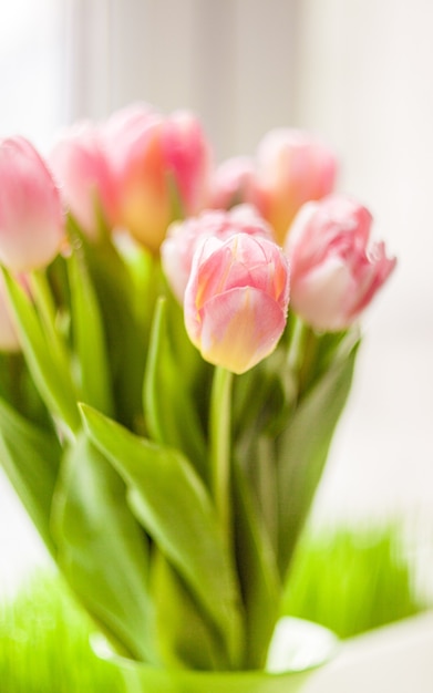 Close-up wazig schot van mooie roze tulpen op vensterbank