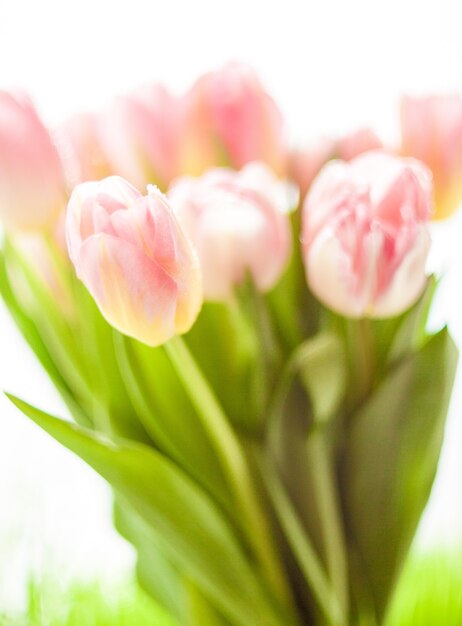 Close-up wazig schot van opnieuw en roze bloemen