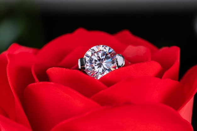 Close-up of wedding ring on red flower