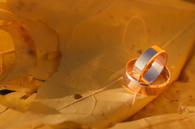 Close-up of wedding rings on paper