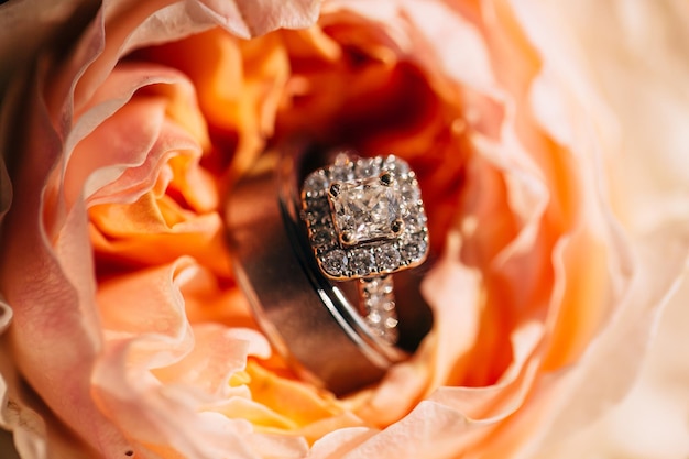 Photo close-up of weeding rings in rose