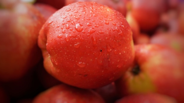 Foto close-up di mele bagnate