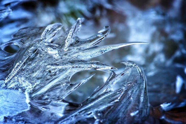 Close-up of wet frozen during winter