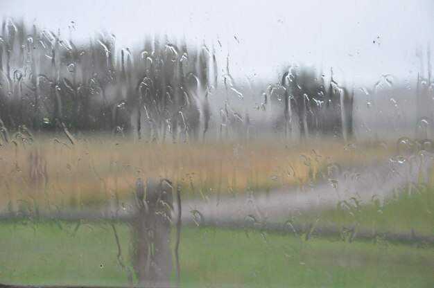 Close-up of wet glass window on rainy day