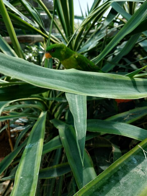 Close-up of wet grass