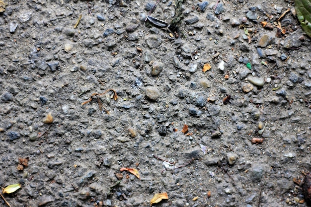 A close up of a wet gravel road with a leaf on it.