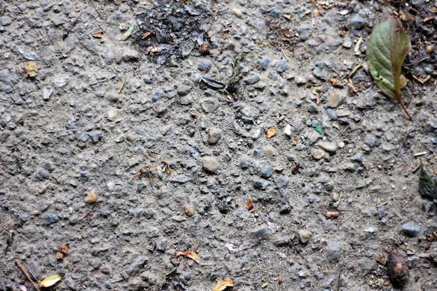 A close up of a wet ground with mud and rocks.