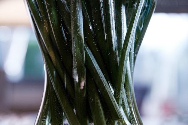 Photo close-up of wet leaf