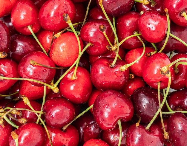 close up of wet sweet cherries