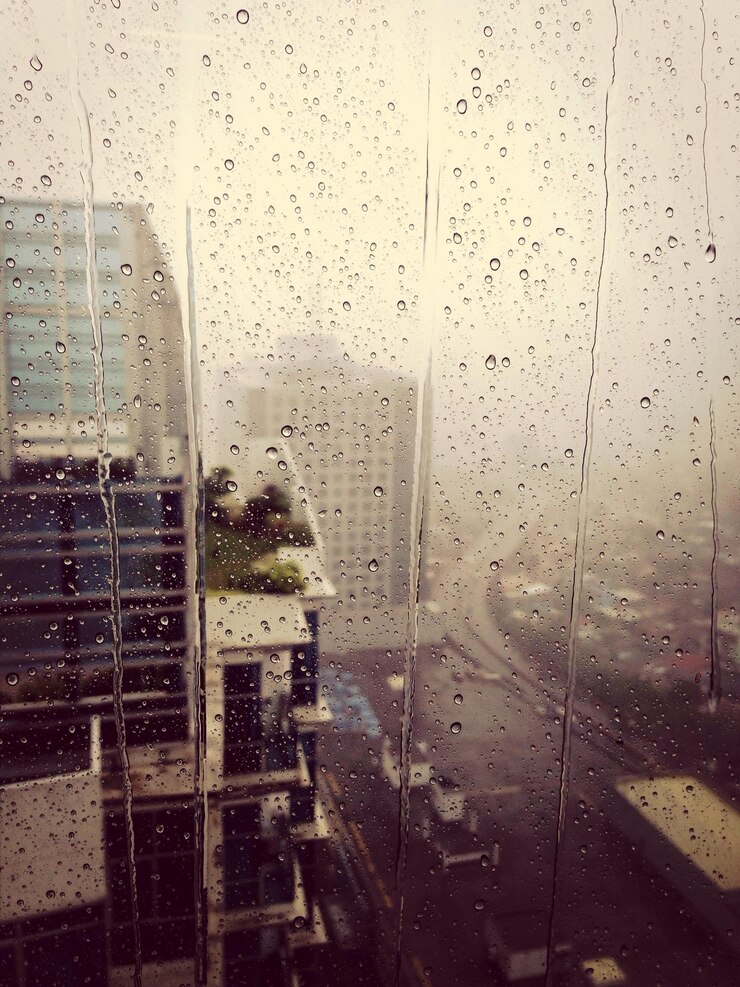 फोटो close up of wet window