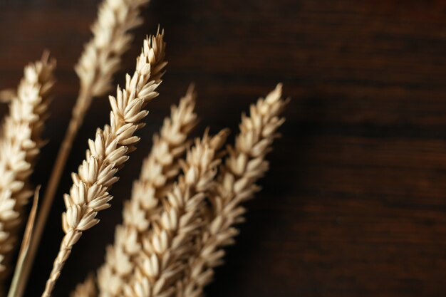 Close-up of wheat on a dark wooden background