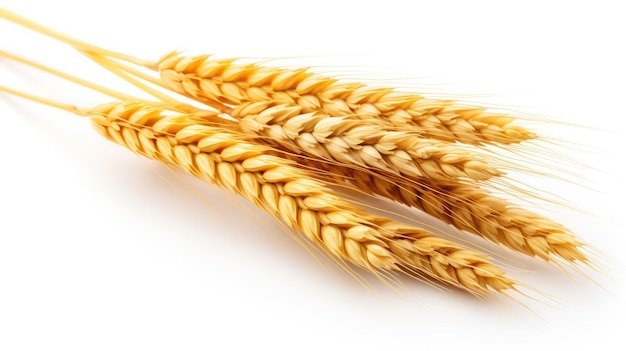 Photo a close up of a wheat ears with a gold band