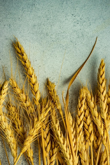 Close up of wheat ears