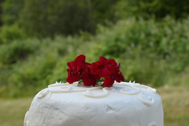 Foto close-up di una torta bianca con un fiore rosso