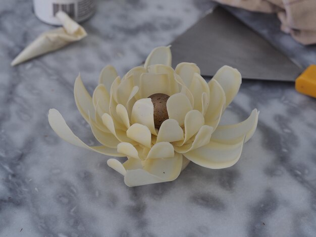 Photo close-up of white chocolate flower