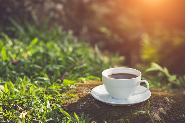 朝の時間に庭で白いコーヒーカップを閉じます