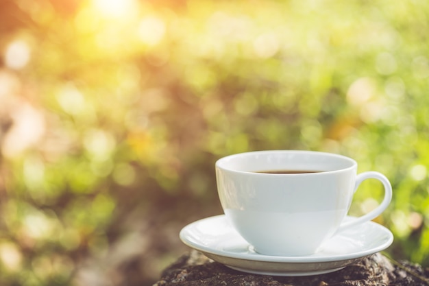 Close up white coffee cup in the garden at morning time