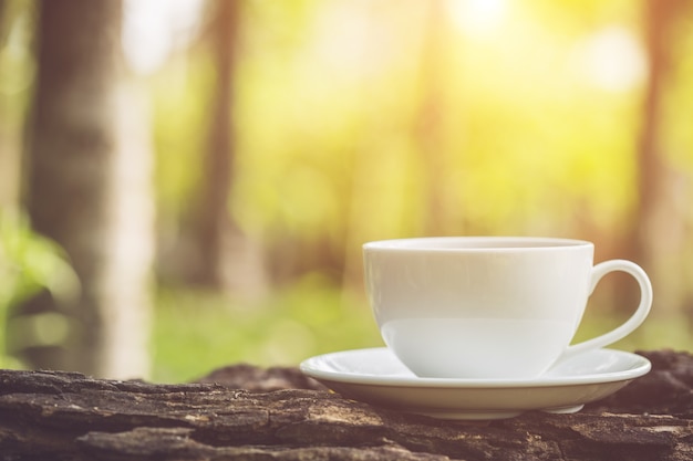 朝の時間に庭で白いコーヒーカップを閉じます