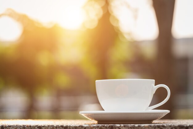 Close up White coffee cup in the park