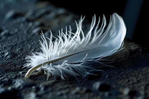 Photo a close up of a white feather on a surface