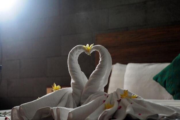 Close-up of white flower on bed at home