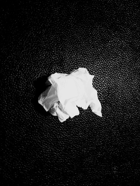 Photo close-up of white flower over black background