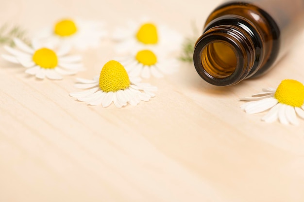 Photo close-up of white flower on table