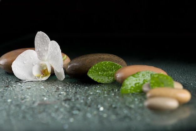 Foto close-up di un fiore bianco sul tavolo