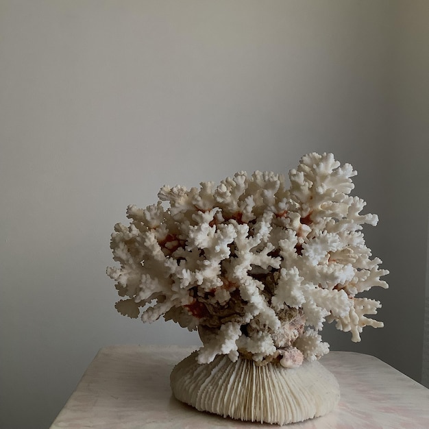 Photo close-up of white flower vase on table against wall