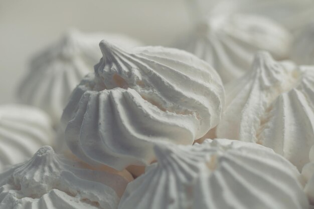 Foto prossimo piano di un fiore bianco