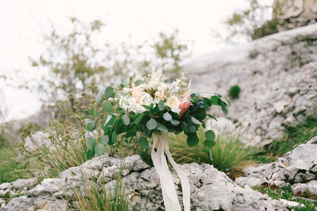 Foto prossimo piano di una pianta a fiori bianchi sul campo