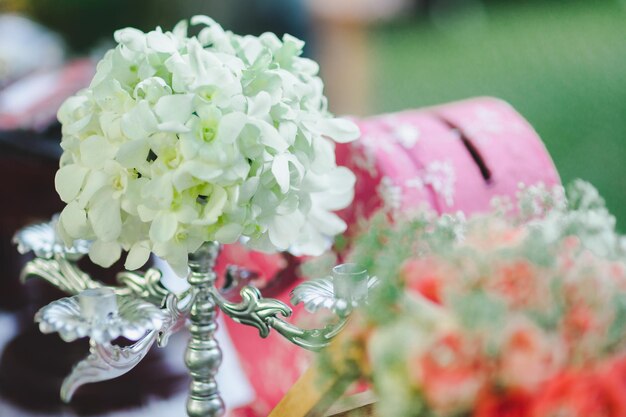 Photo close-up of white flowering plant