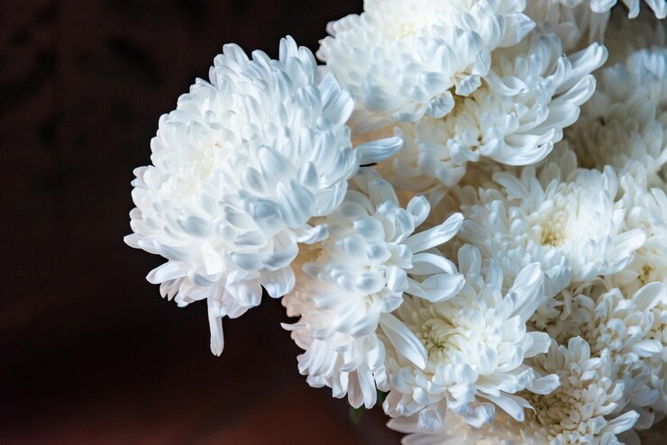 Photo 白い花の植物のクローズアップ