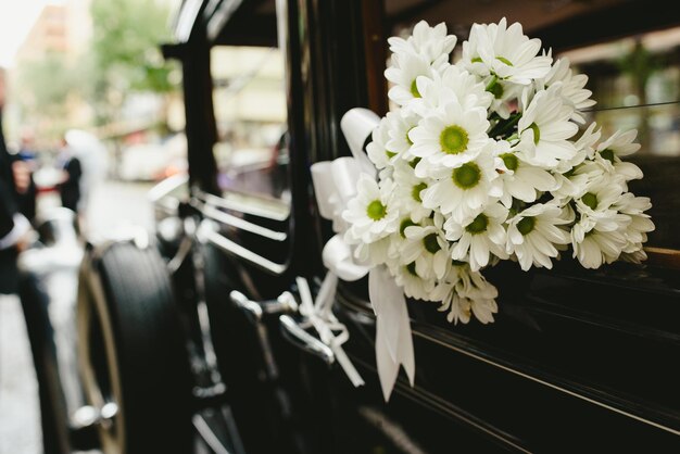 Foto prossimo piano di una pianta a fiori bianchi