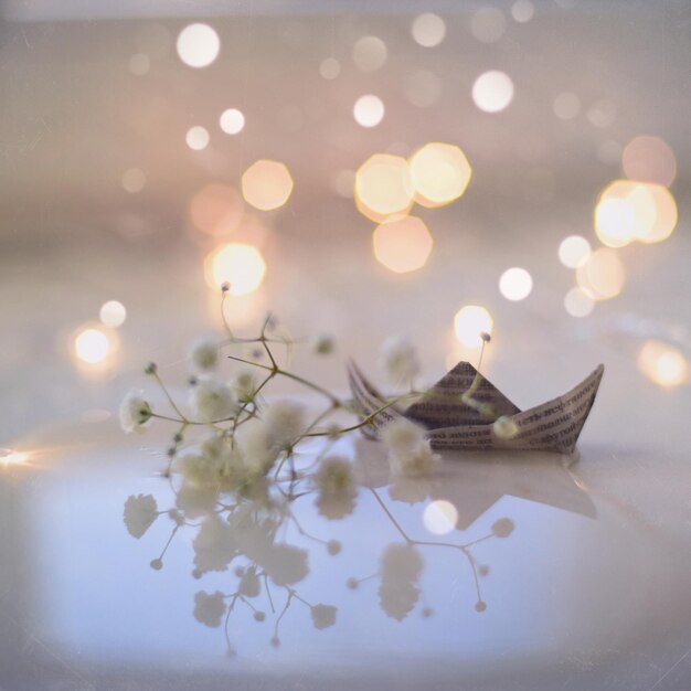 Close-up of white flowers on table