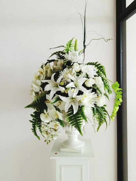 Photo close-up of white flowers in vase against wall at home