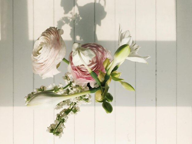 Close-up of white flowers in vase