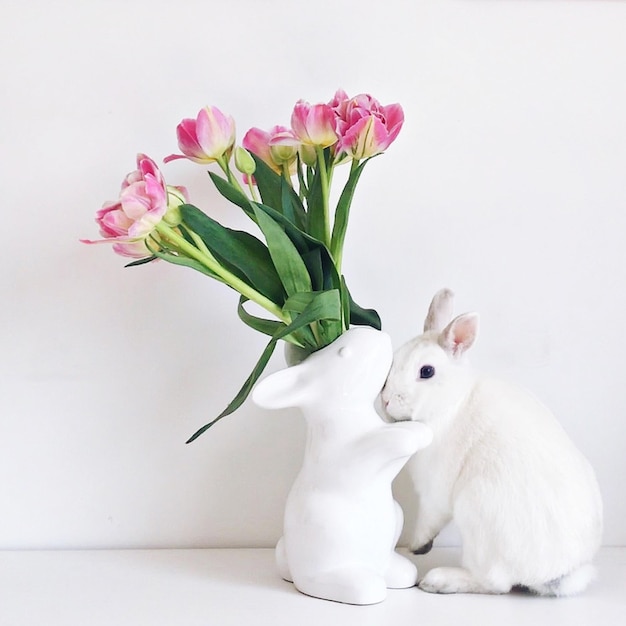 Photo close-up of white flowers in vase