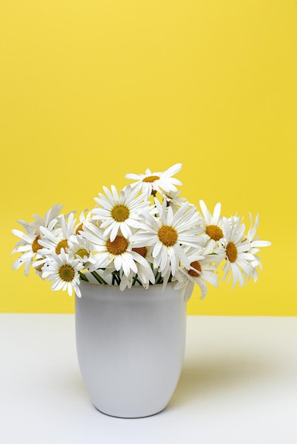 Foto close-up di fiori bianchi in vaso