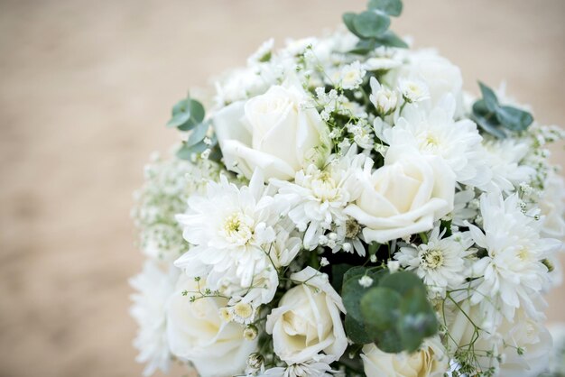 Photo close-up of white flowers